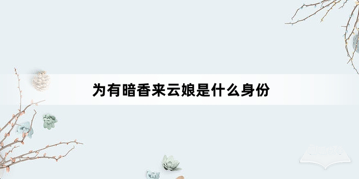 为有暗香来云娘是什么身份