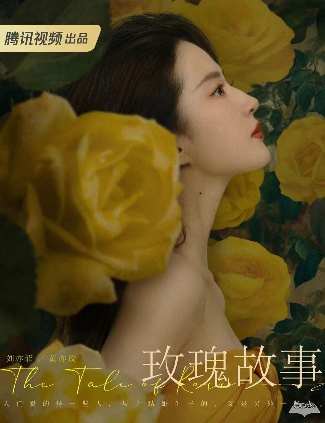 《玫瑰的故事》除了刘亦菲的美貌
