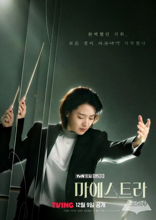 韩剧《大指挥家: 弦上的真相》播出平台