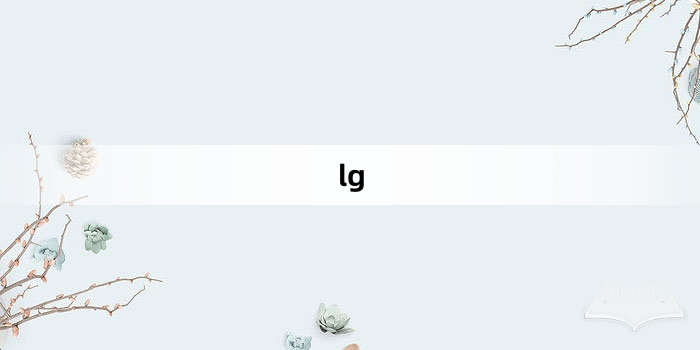 “lg”网络梗词解释