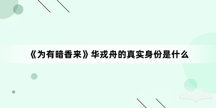 《为有暗香来》华戎舟的真实身份是什么